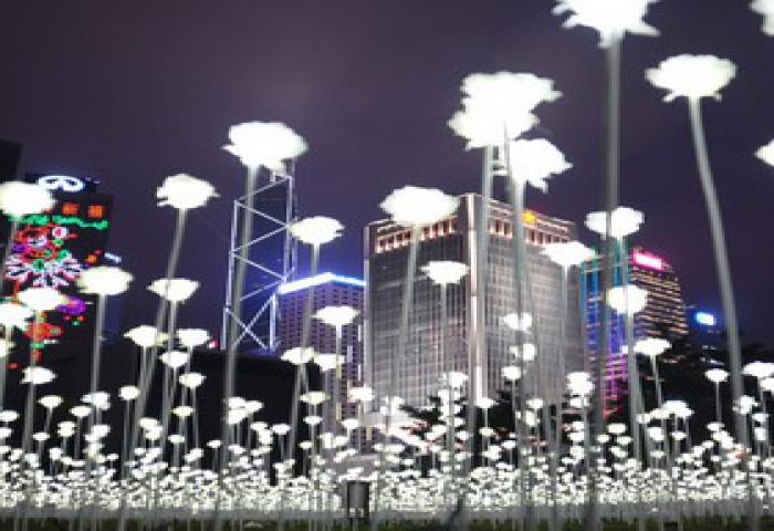 Taman Lampu Mawar Paling Romantis 